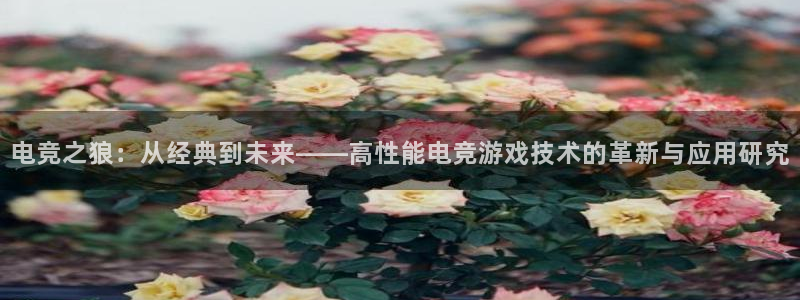 db电竞官网app：电竞之狼：从经典到未来——高性能电竞游戏技术的革新与应用研究