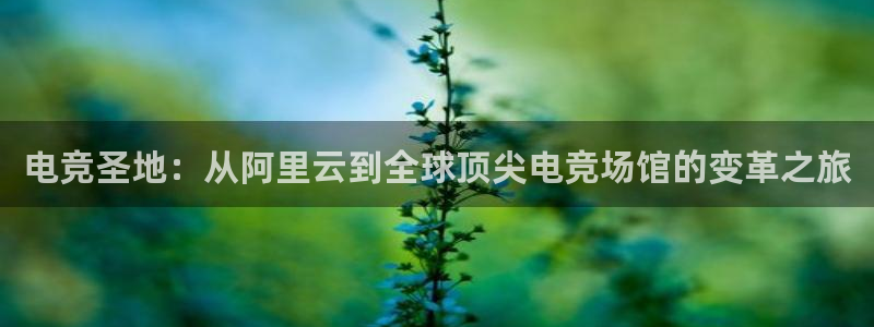 db电竞登陆：电竞圣地：从阿里云到全球顶尖电竞场馆的变革之旅